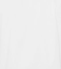DUNNE DRESS SHIRT Spread Collar