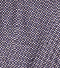 BRANFORD DRESS SHIRT Point Collar