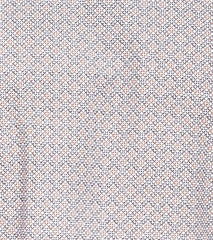 WINSLOW DRESS SHIRT Spread Collar