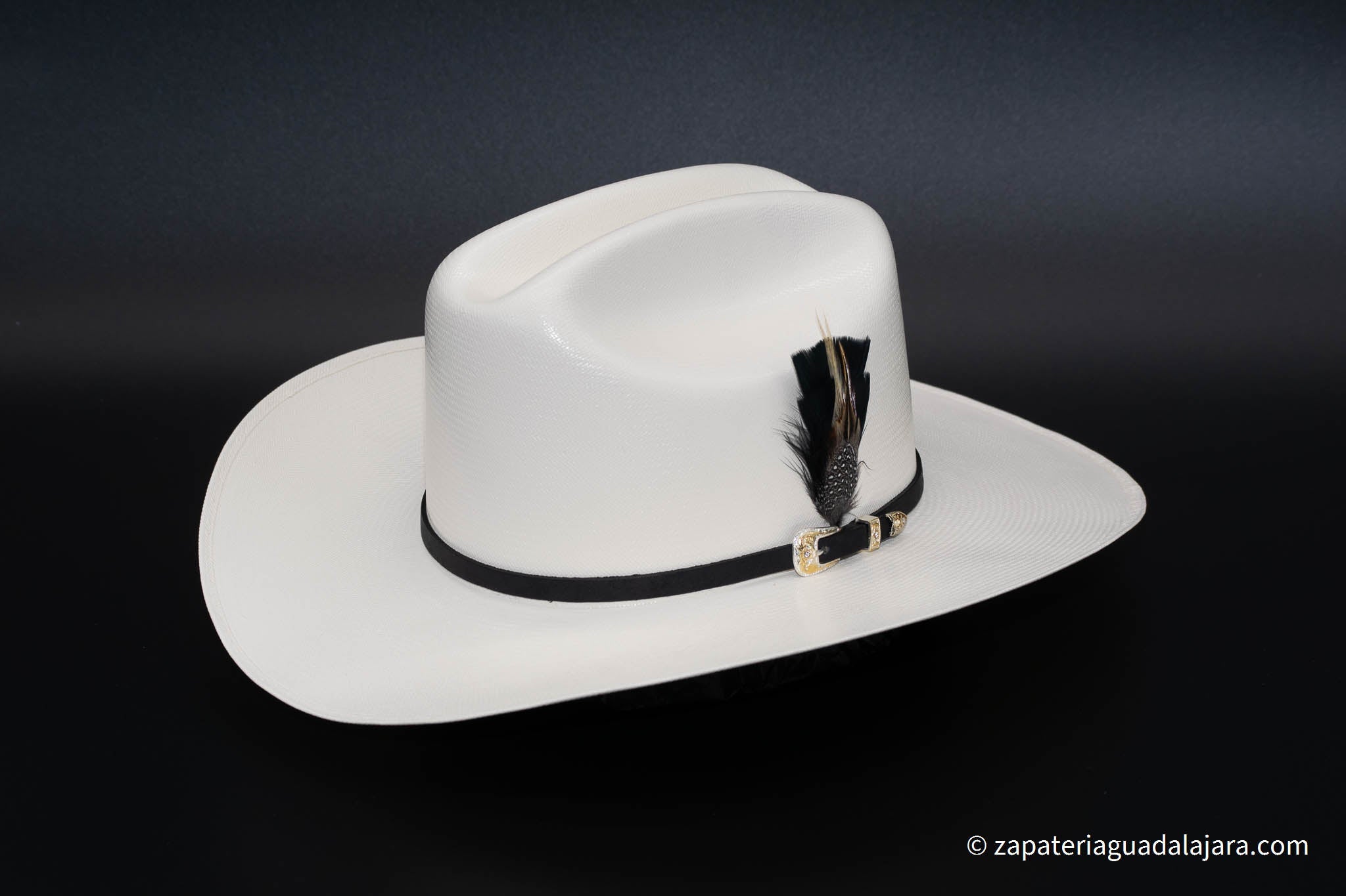 TENNESSEE 5000x BLACK FEATHER HAT | Genuine Leather Vaquero Boots and Cowboy Hats | Zapateria Guadalajara | Authentic Mexican Western Wear