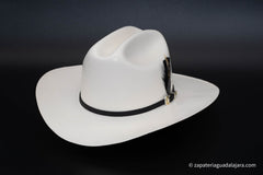 TENNESSEE 5000x BLACK FEATHER HAT