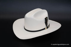 TENNESSEE 5000x BLACK FEATHER HAT