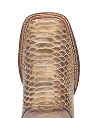 Dan Post Women's Dee Boot