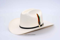 TENNESSEE 5000X ATEJANADO SINALOA