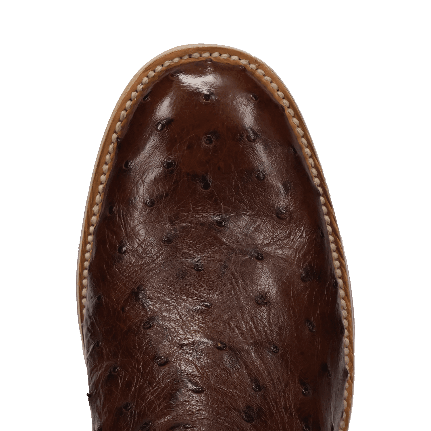 Dan Post Ardor Full Quill Ostrich Boot - Luxury Cowboy Boot