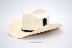 TENNESSEE HATS 1000X TELAR SINALOA