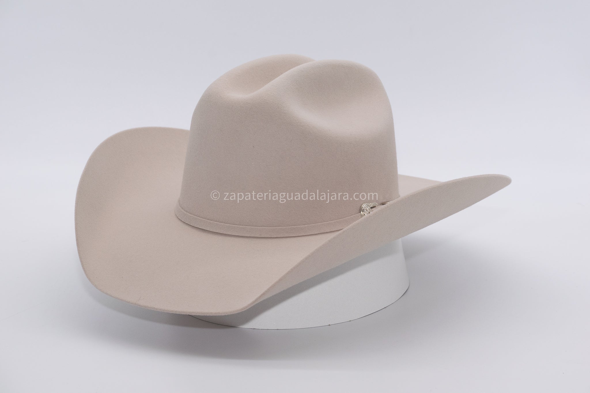 TENNESSEE 100X FELT HAT TEXAS SILVER BELLY | Genuine Leather Vaquero Boots and Cowboy Hats | Zapateria Guadalajara | Authentic Mexican Western Wear